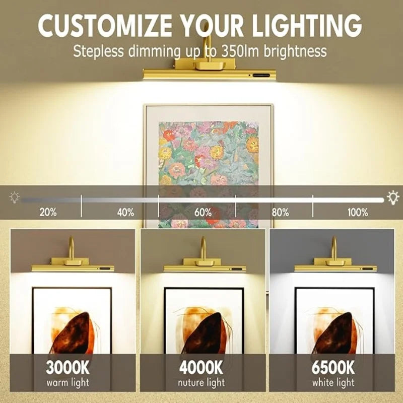 Cordless rechargeable picture light with remote control